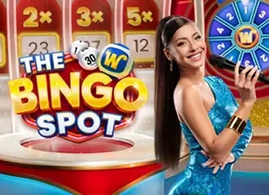 The Bingo Spot